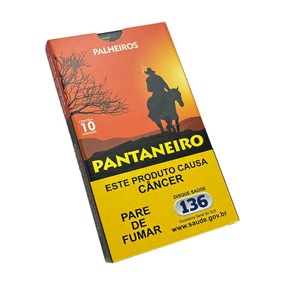 Palheiro Pantaneiro Tradicional